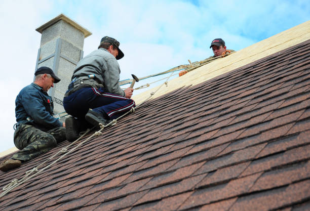 Best Gutter Installation and Roofing  in Whitney Point, NY